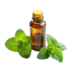 mint oil